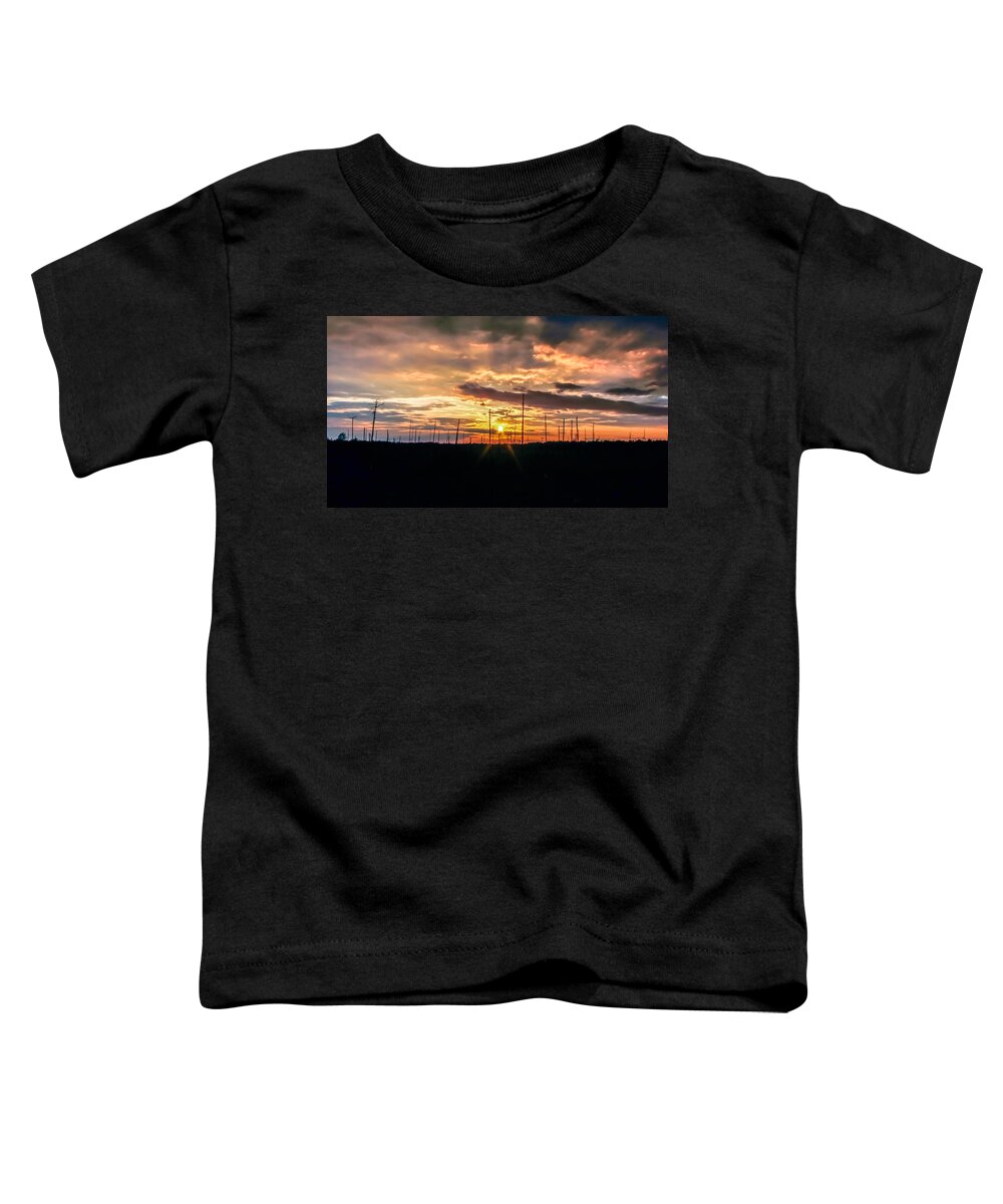 Al Toddler T-Shirt featuring the photograph Gulf Shore Sunset by Traveler's Pics