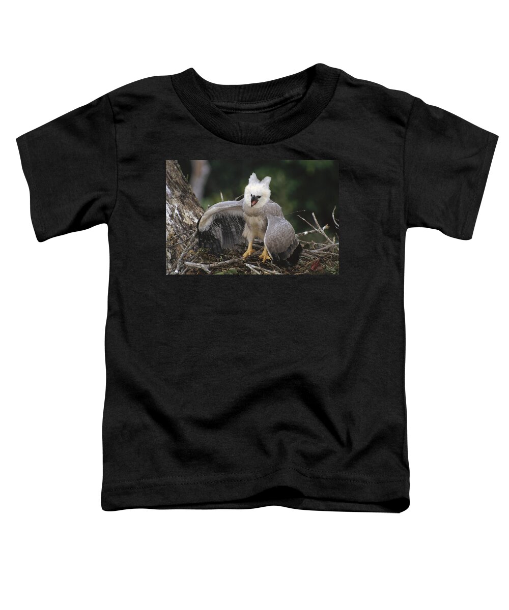 Feb0514 Toddler T-Shirt featuring the photograph Harpy Eagle Threat Posture Amazonian by Tui De Roy