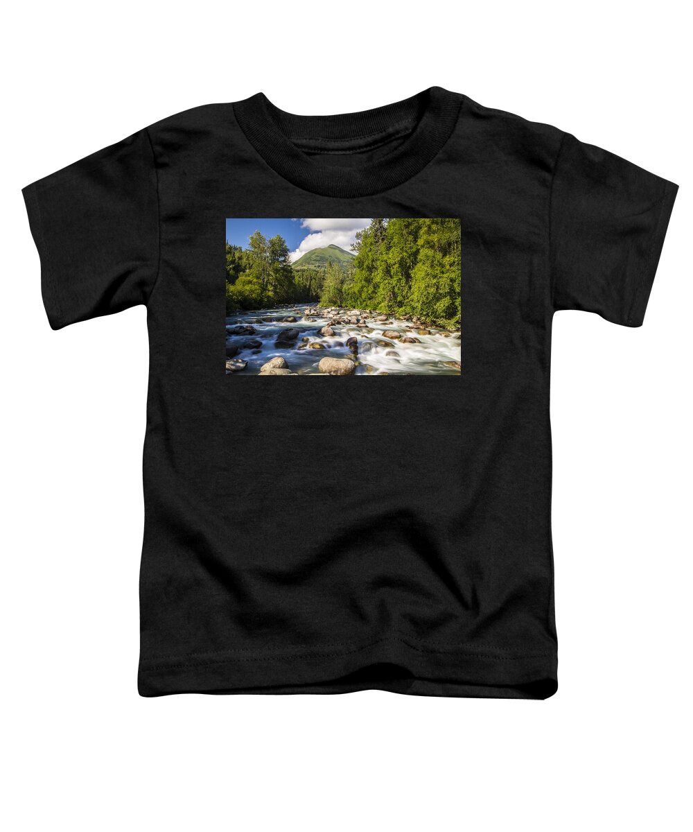 Landscape Toddler T-Shirt featuring the photograph Hatchers Pass by Kyle Lavey