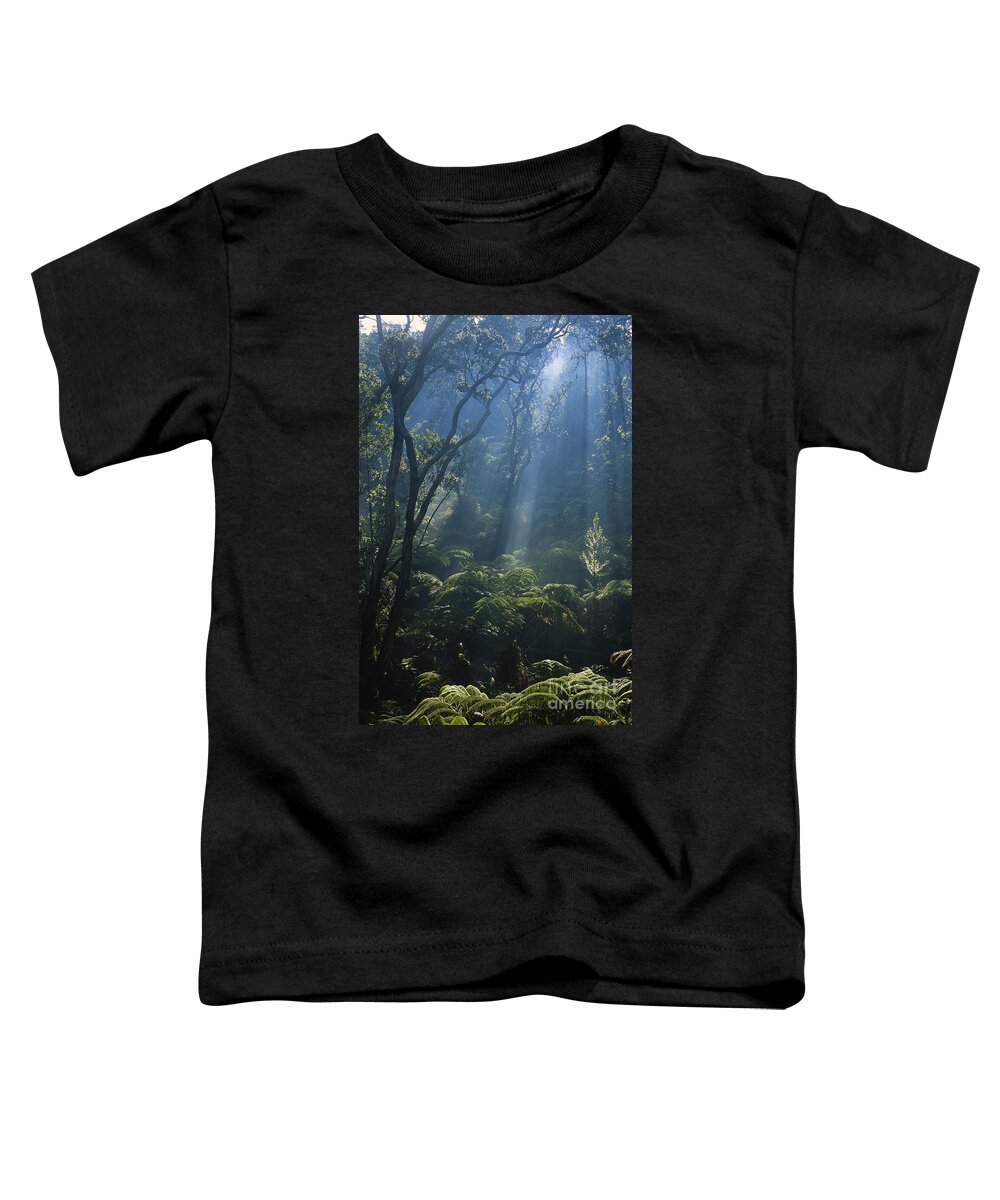 Tree Fern Toddler T-Shirt featuring the photograph Hawaiian Rainforest by Gregory G. Dimijian, M.D.