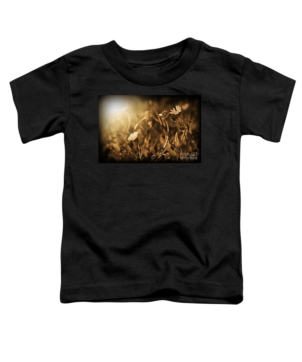 Daisy Toddler T-Shirt featuring the photograph Here Comes The Sun by Clare Bevan