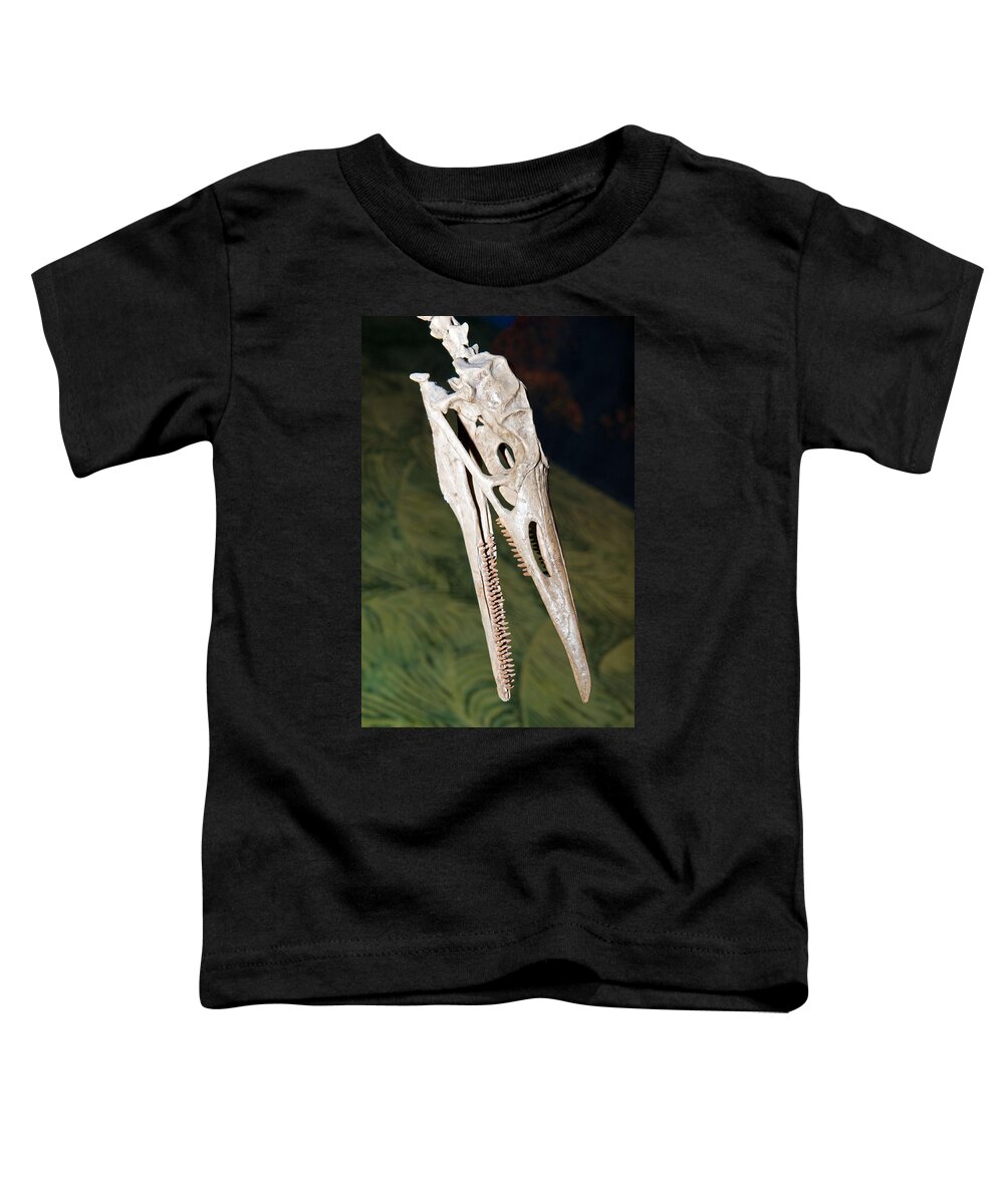 Nature Toddler T-Shirt featuring the photograph Hesperornis Bird Fossil by Millard H. Sharp