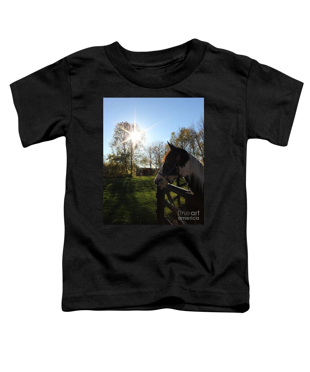 Horse Toddler T-Shirt featuring the photograph Horse with Sunburst by Janice Byer