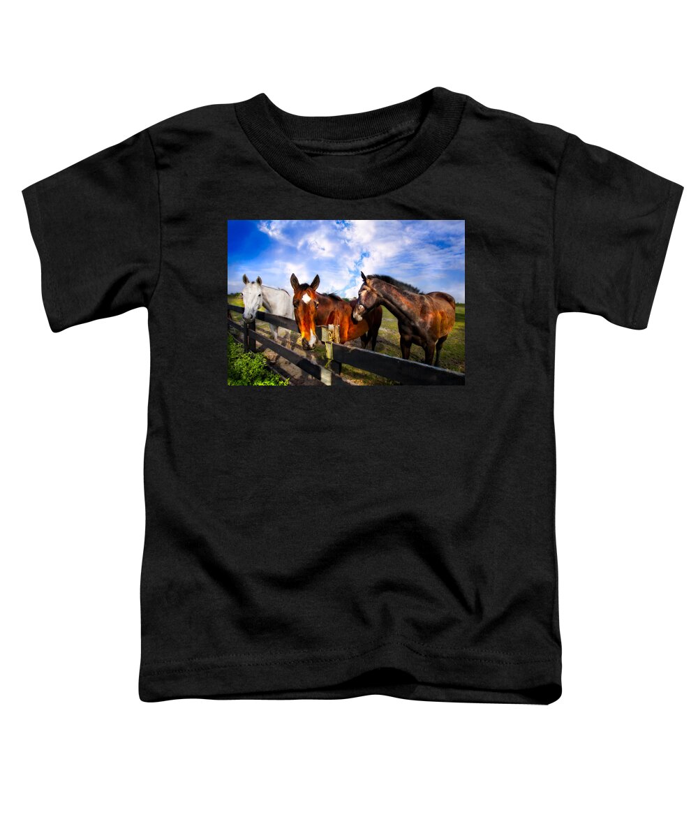 Animals Toddler T-Shirt featuring the photograph Horses at the Fence by Debra and Dave Vanderlaan