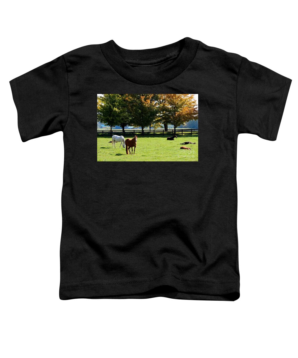 Horse Toddler T-Shirt featuring the photograph Horses in Fall by Janice Byer