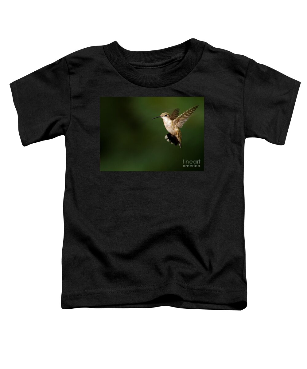 Alabama Toddler T-Shirt featuring the photograph Hovering Hummingbird by Sabrina L Ryan