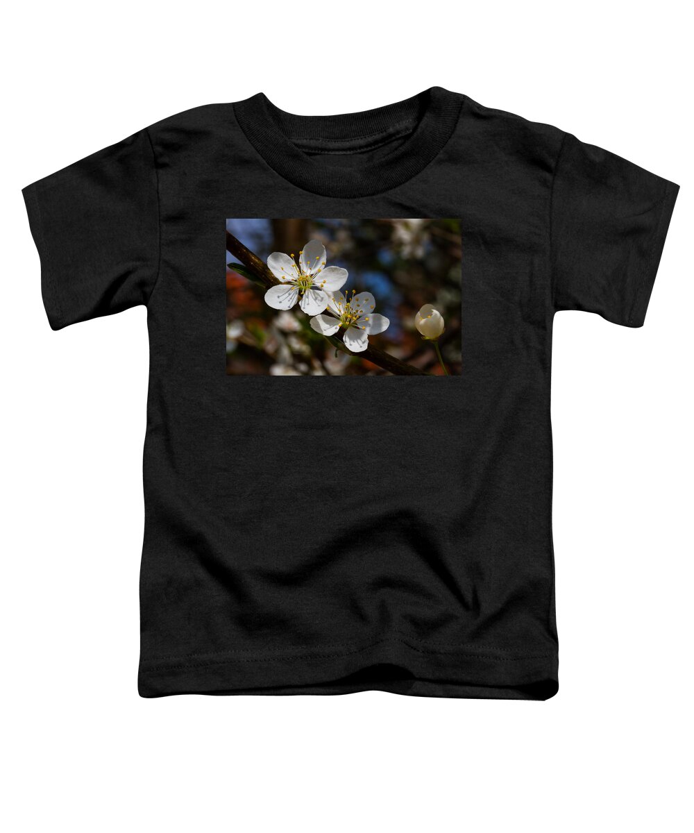 Nature Toddler T-Shirt featuring the photograph Hungry For Sun by Andreas Levi