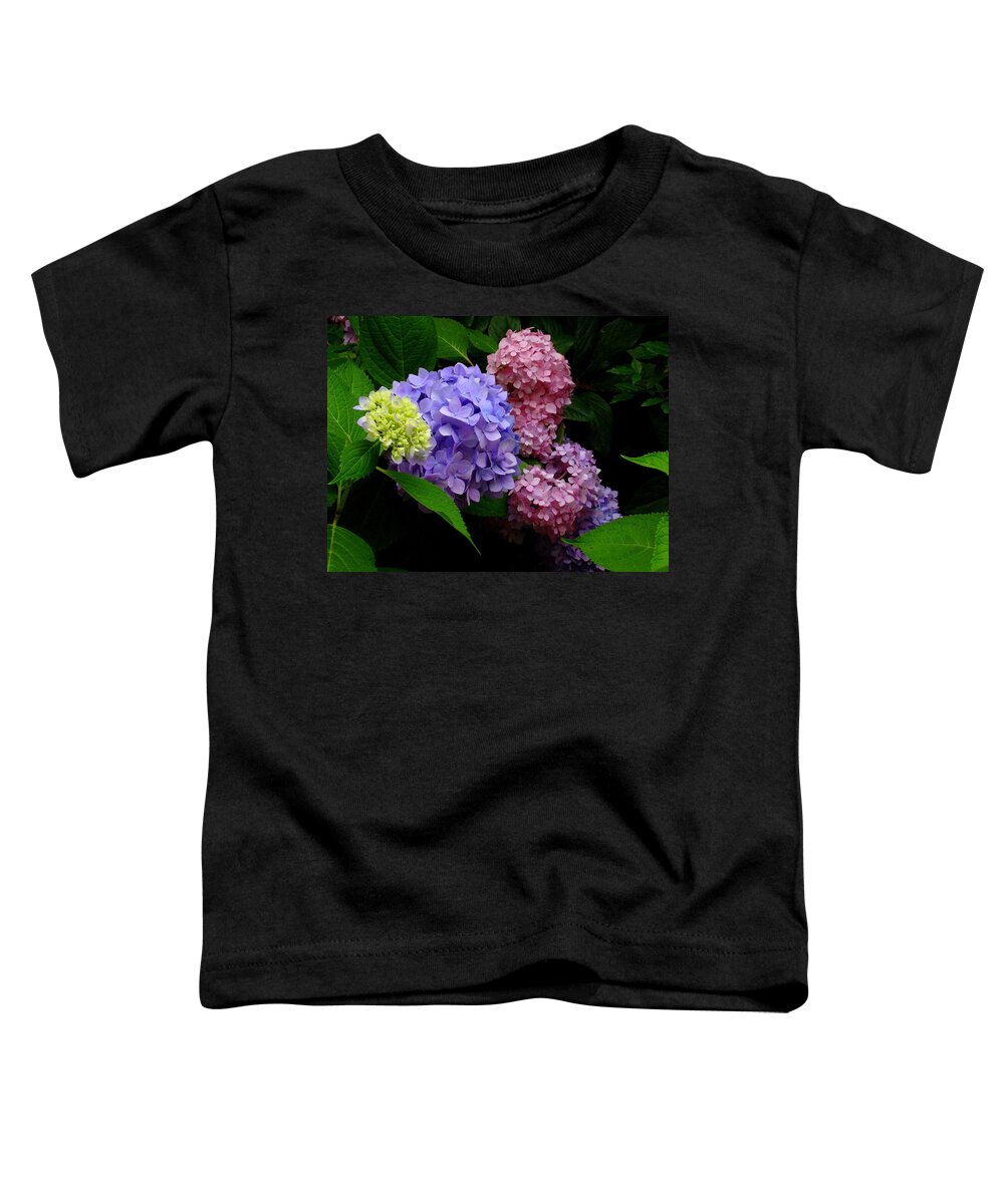 Fine Art Toddler T-Shirt featuring the photograph Hydrangea Glow by Rodney Lee Williams