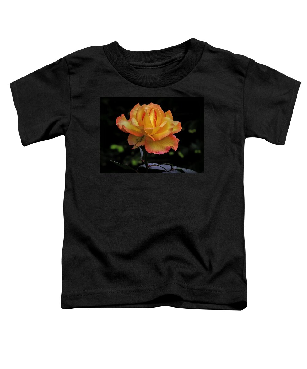 Rose Toddler T-Shirt featuring the photograph I know I'm beautiful by Hanny Heim