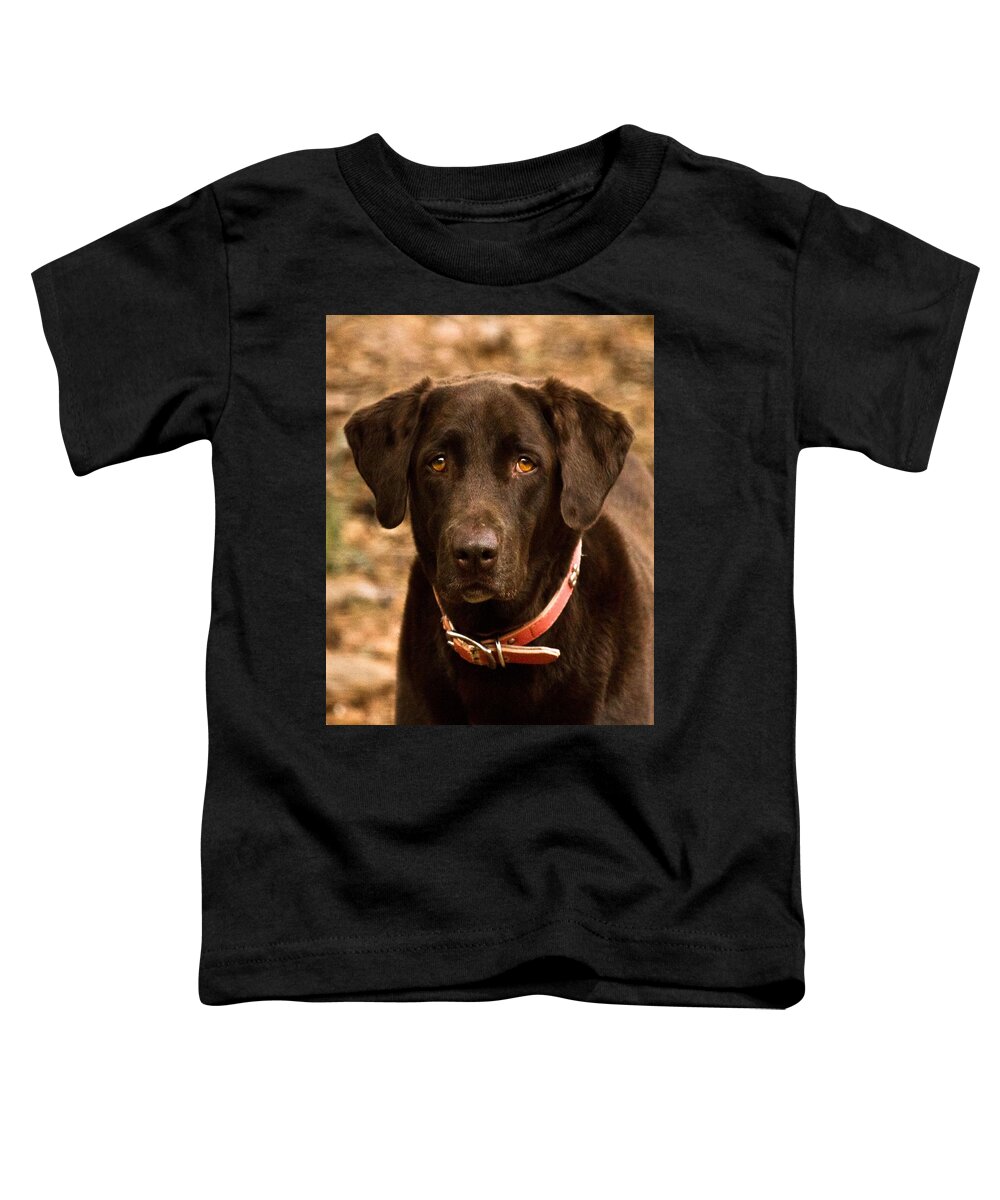 Cocoa Toddler T-Shirt featuring the photograph I swear I didn't do it by Robert L Jackson