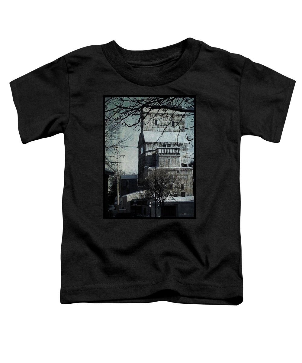 Coop Toddler T-Shirt featuring the photograph Iced Co-op by Tim Nyberg