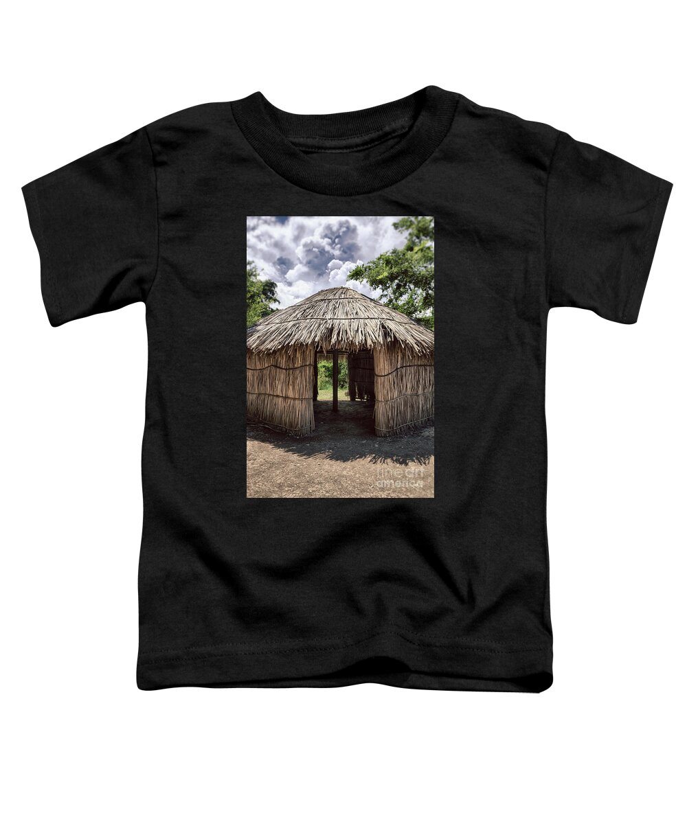 Centro Ceremonial Indigena De Tibes Toddler T-Shirt featuring the photograph Indigenous Tribe Huts in Puer by Bryan Mullennix
