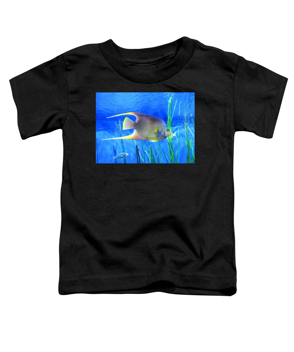Fish Toddler T-Shirt featuring the painting Into Blue - Tropical Fish by Sharon Cummings by Sharon Cummings