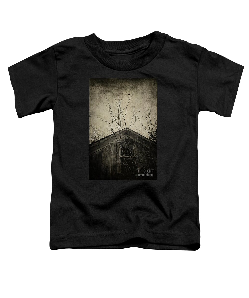 House Toddler T-Shirt featuring the photograph Into the Dark Past by Trish Mistric