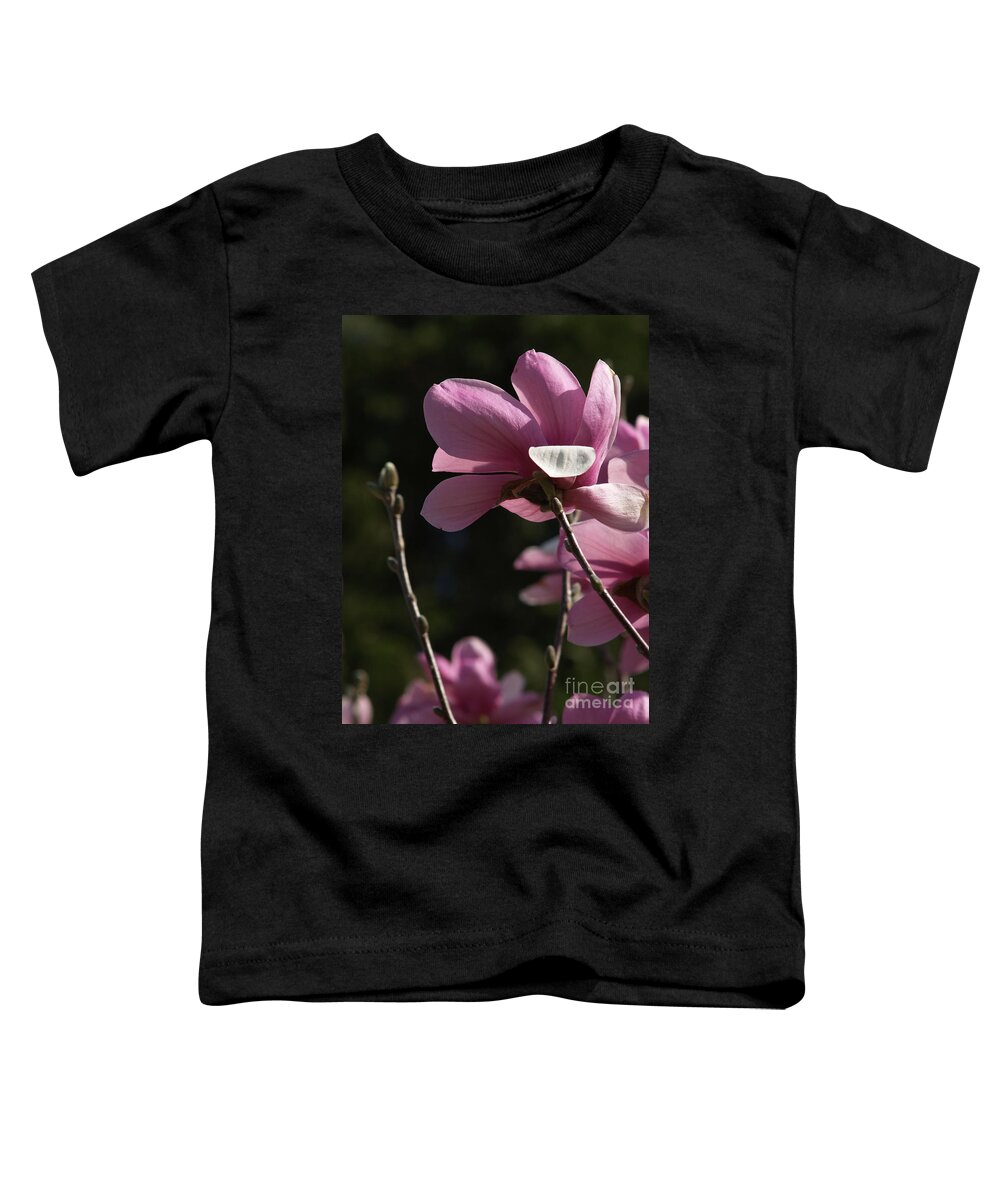 Magnolia Toddler T-Shirt featuring the photograph Japanese Magnolia and Bud by Anna Lisa Yoder