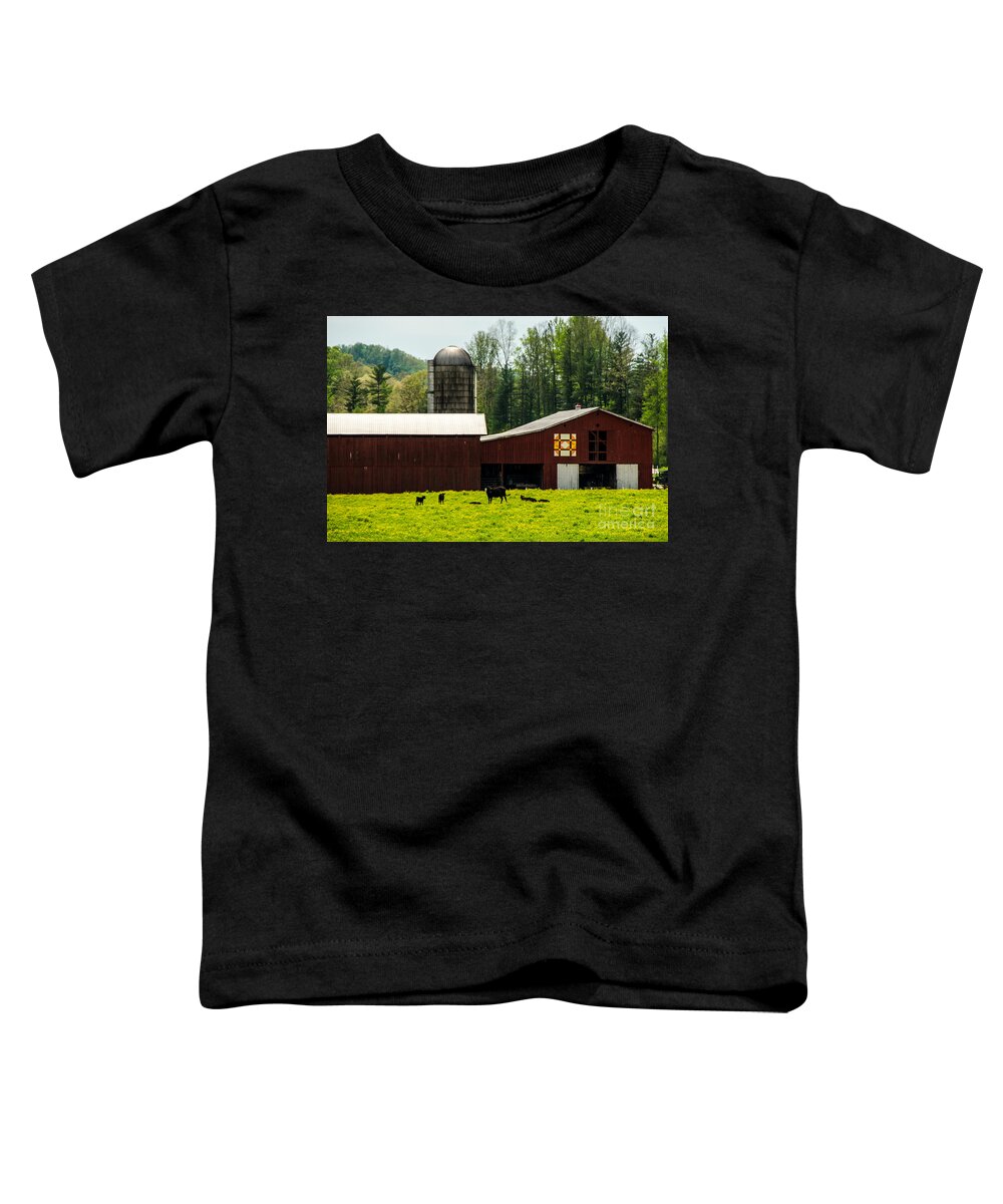 Architecture Toddler T-Shirt featuring the photograph Kentucky Barn Quilt - 1 by Mary Carol Story