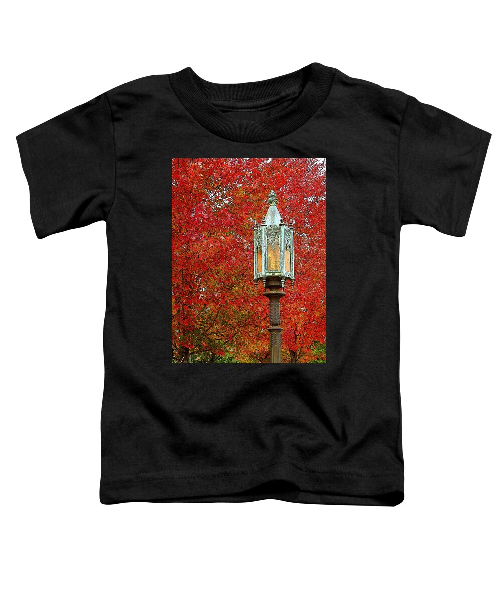 Fine Art Toddler T-Shirt featuring the photograph Lamp Post in Fall by Rodney Lee Williams