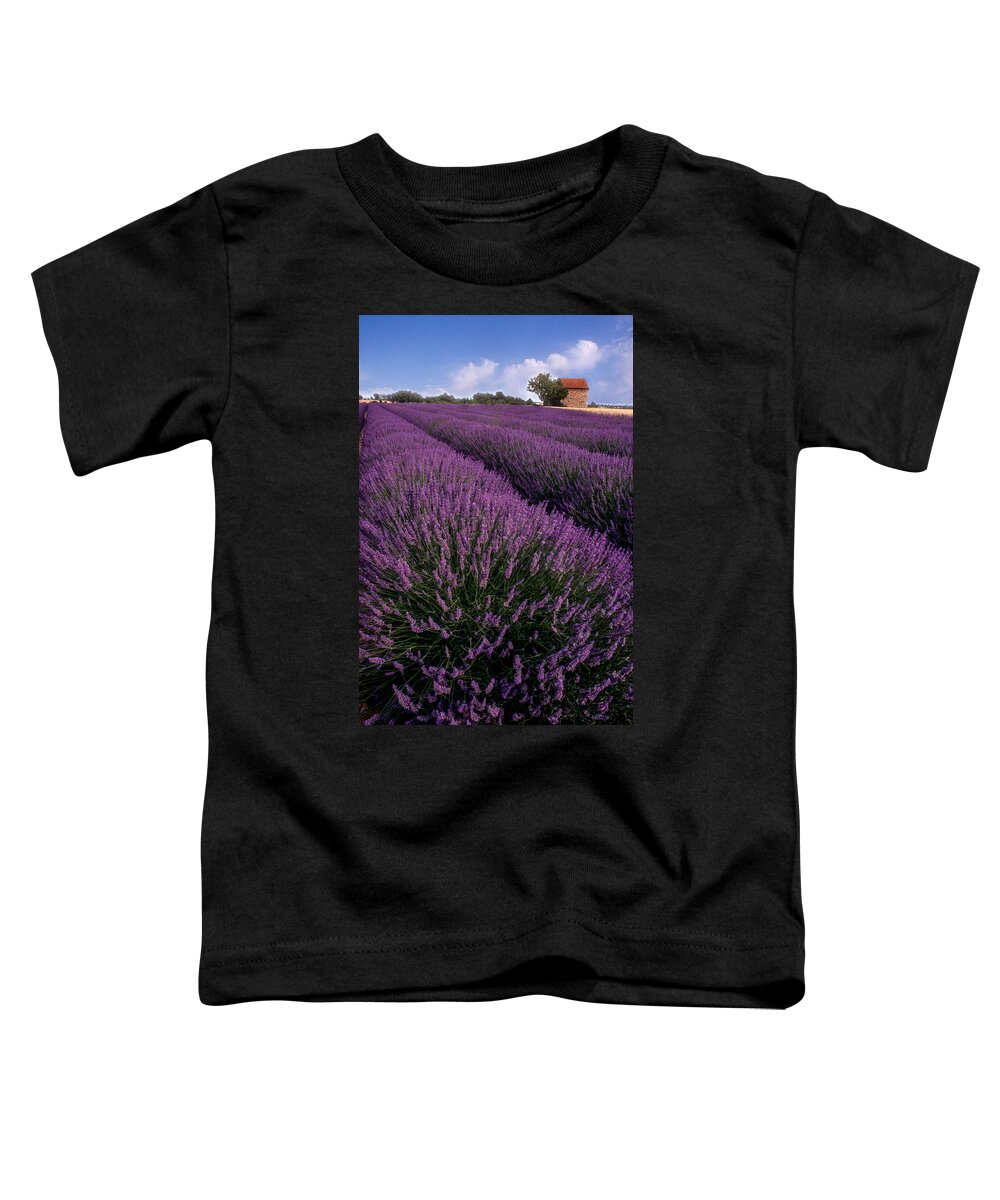 France Toddler T-Shirt featuring the photograph Lavender in Provence by Matthew Pace