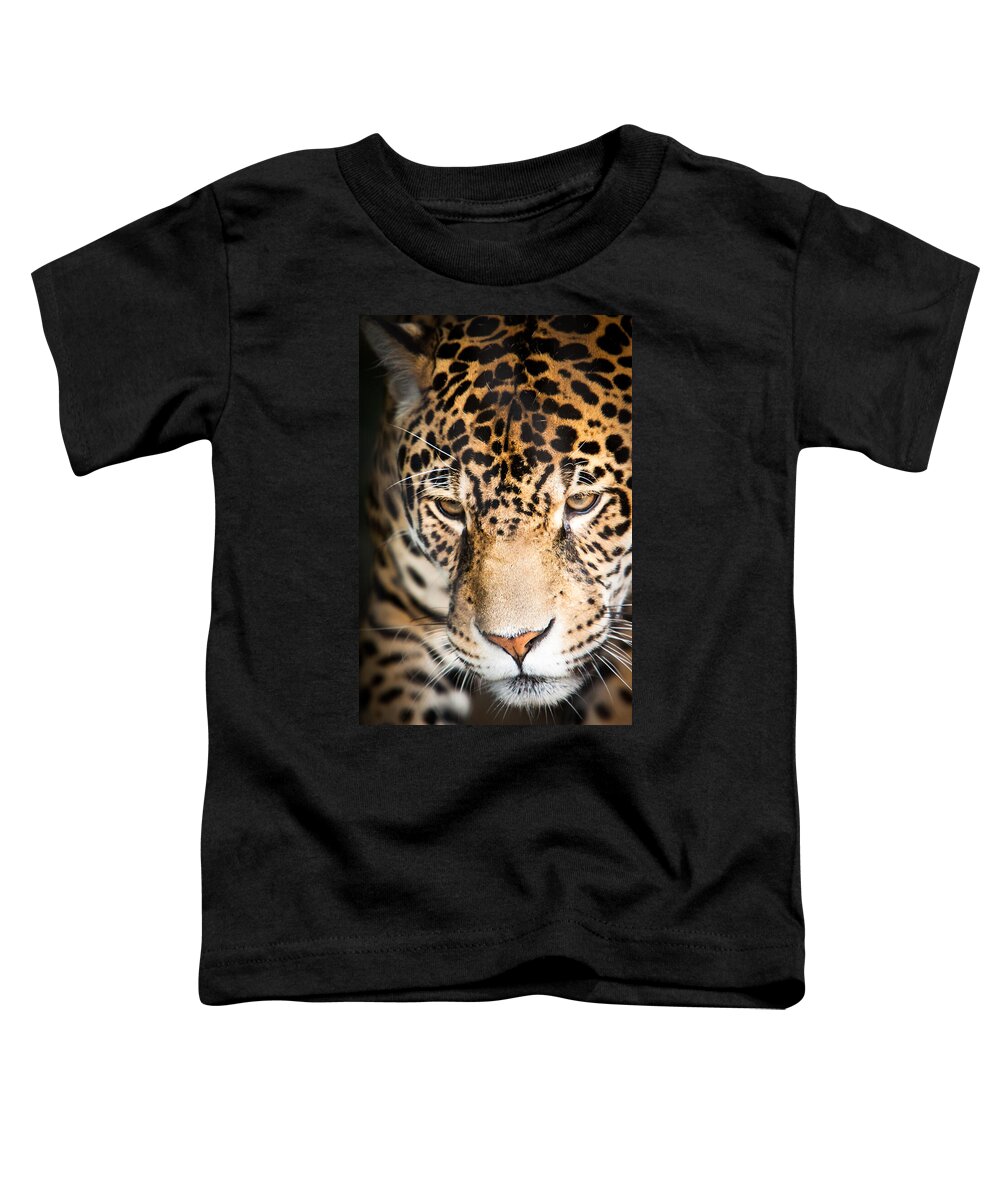 Animal Toddler T-Shirt featuring the photograph Leopard resting by John Wadleigh