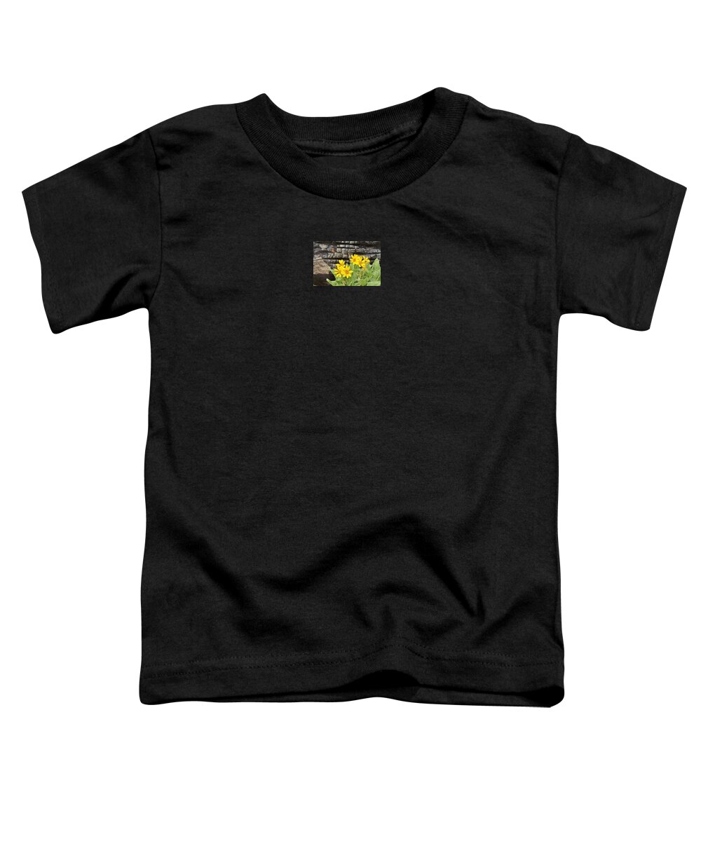 Arrowleaf Balsamroot Toddler T-Shirt featuring the photograph Life After Fire by Michele Penner