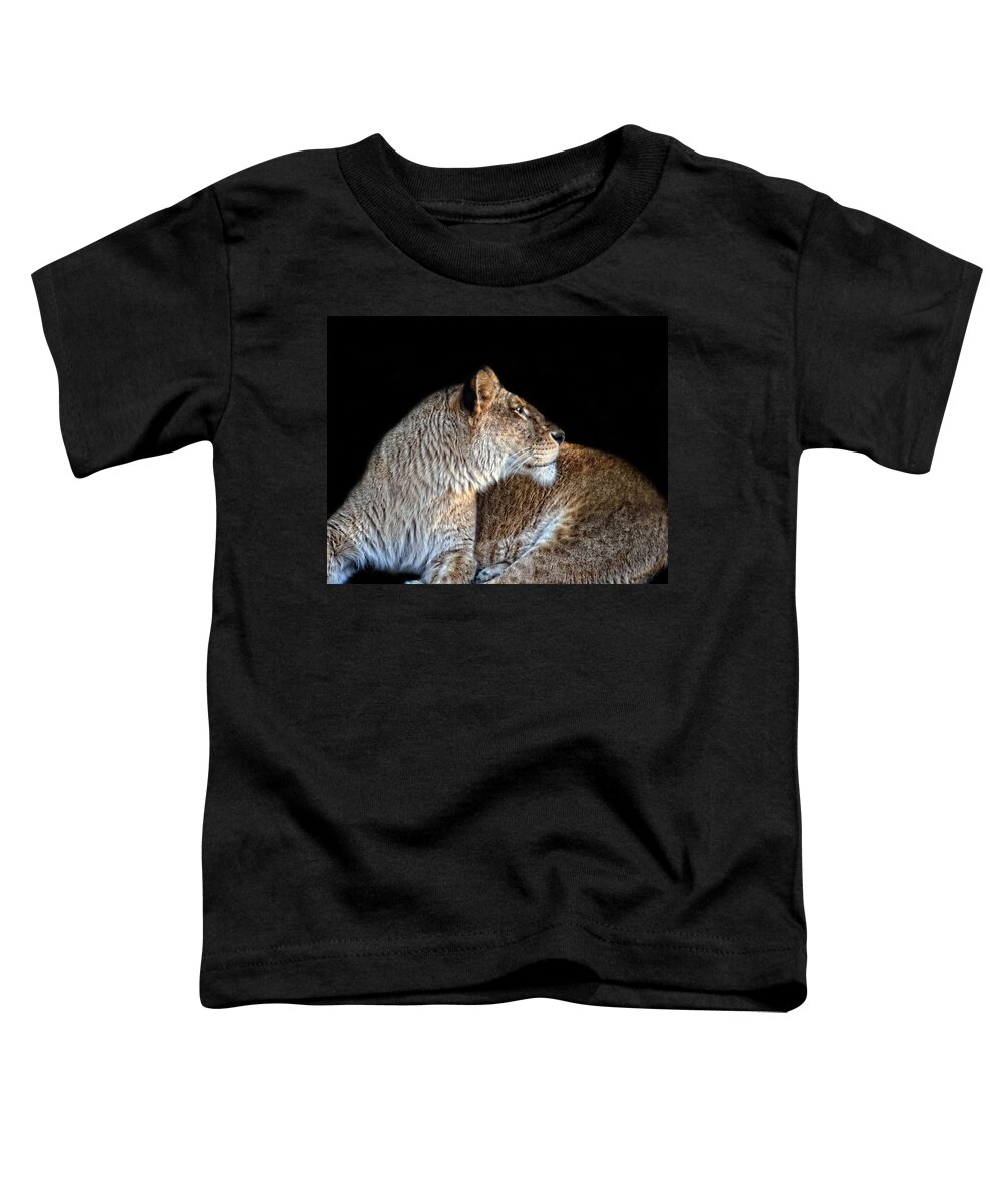 Lioness Toddler T-Shirt featuring the photograph Lioness at Rest by Maggy Marsh