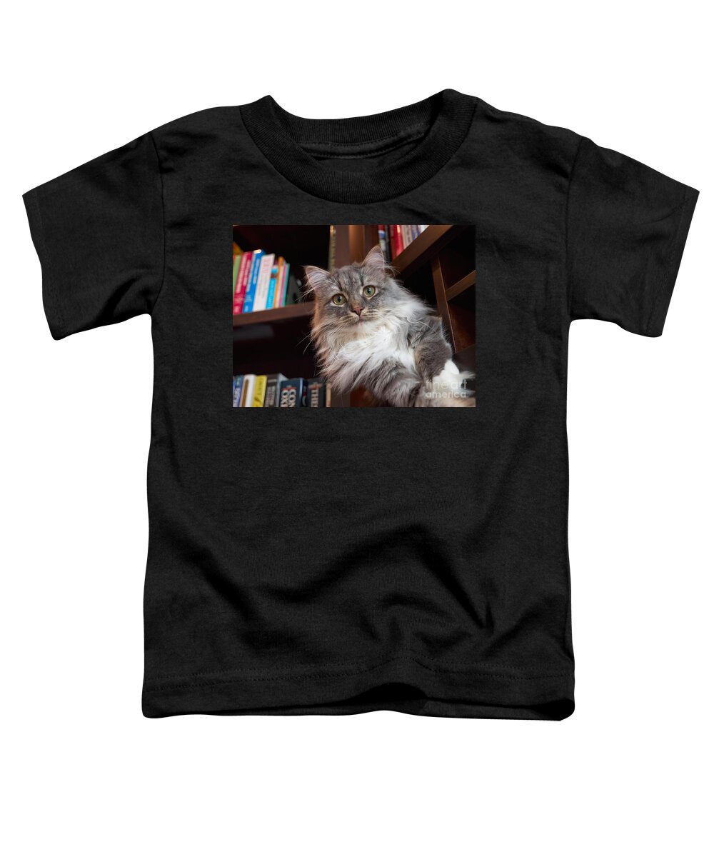 Siberian Toddler T-Shirt featuring the photograph Literary Cat by Louise Heusinkveld