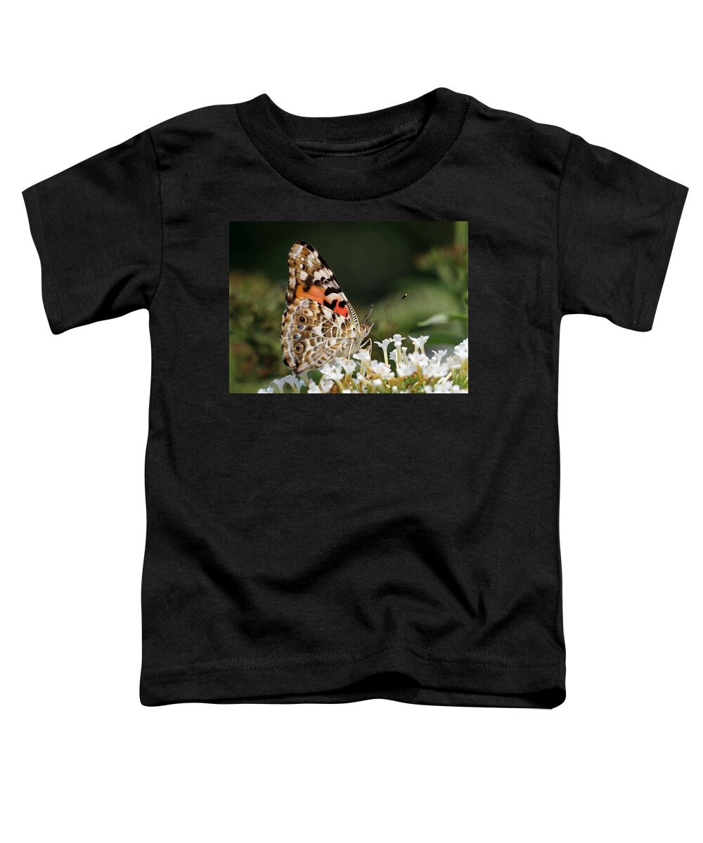 Moth Toddler T-Shirt featuring the photograph Little Creature by Juergen Roth