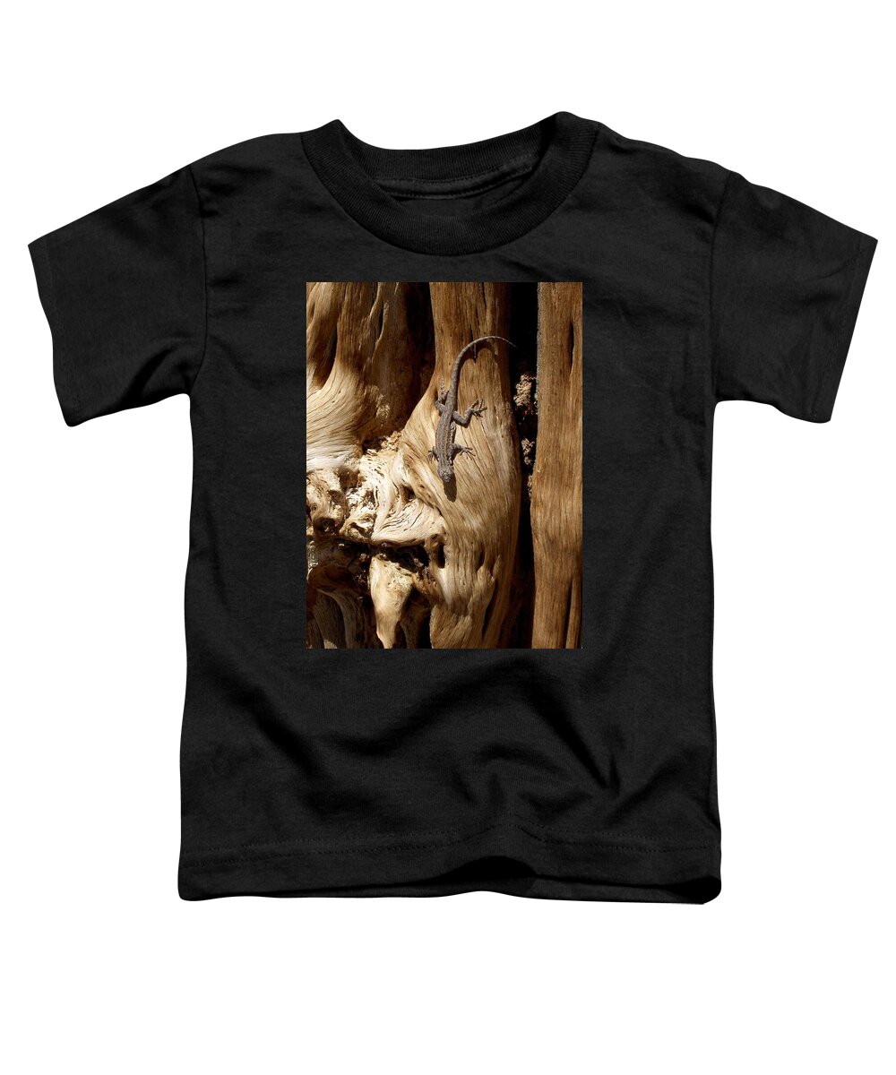 United States Toddler T-Shirt featuring the photograph Lizard by Richard Gehlbach