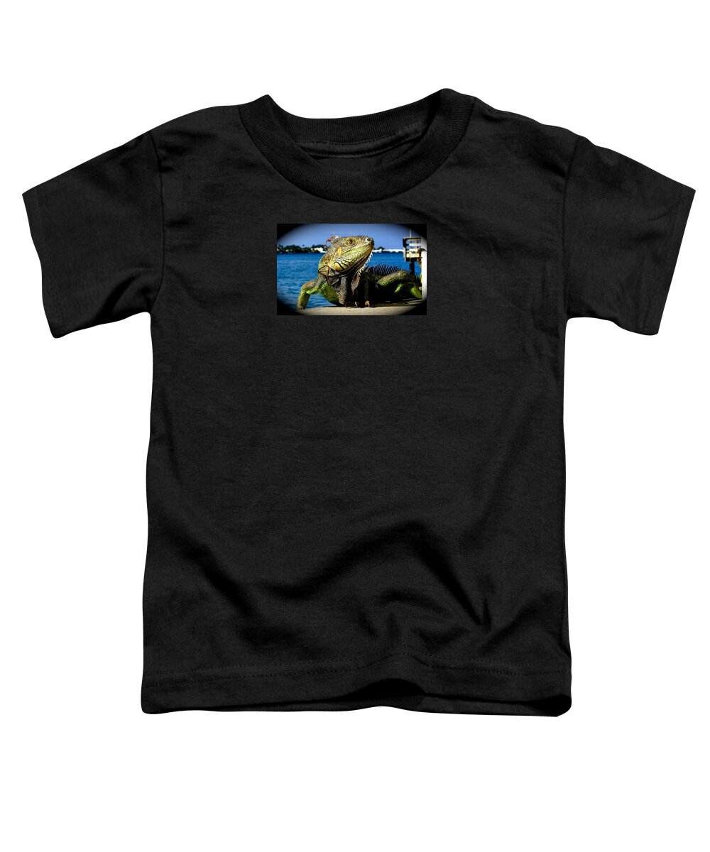 Lizard Print Toddler T-Shirt featuring the photograph Lizard sunbathing in Miami by Monique Wegmueller