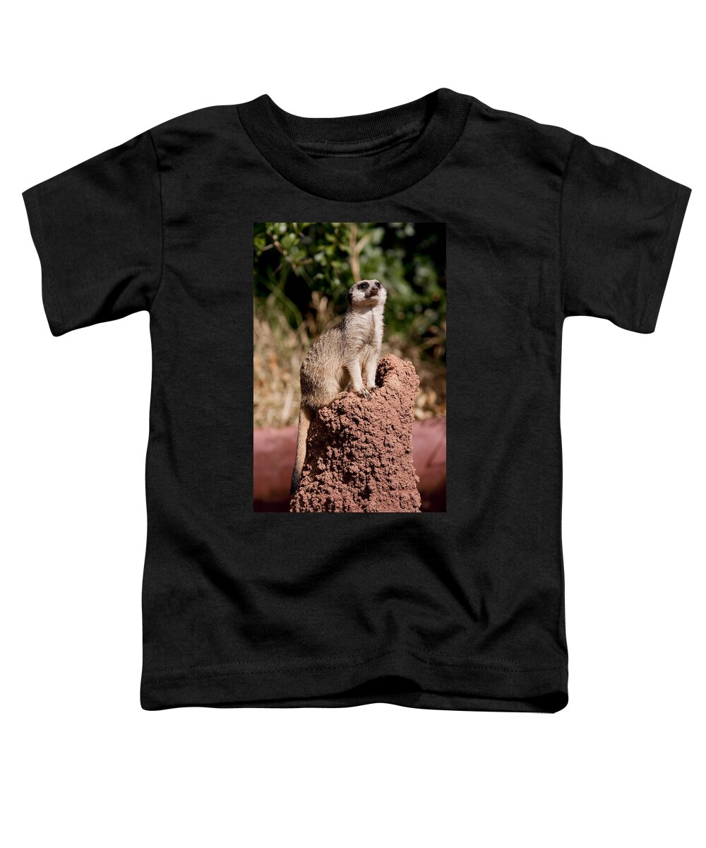 Meercats Toddler T-Shirt featuring the photograph Lookout Post by Michelle Wrighton