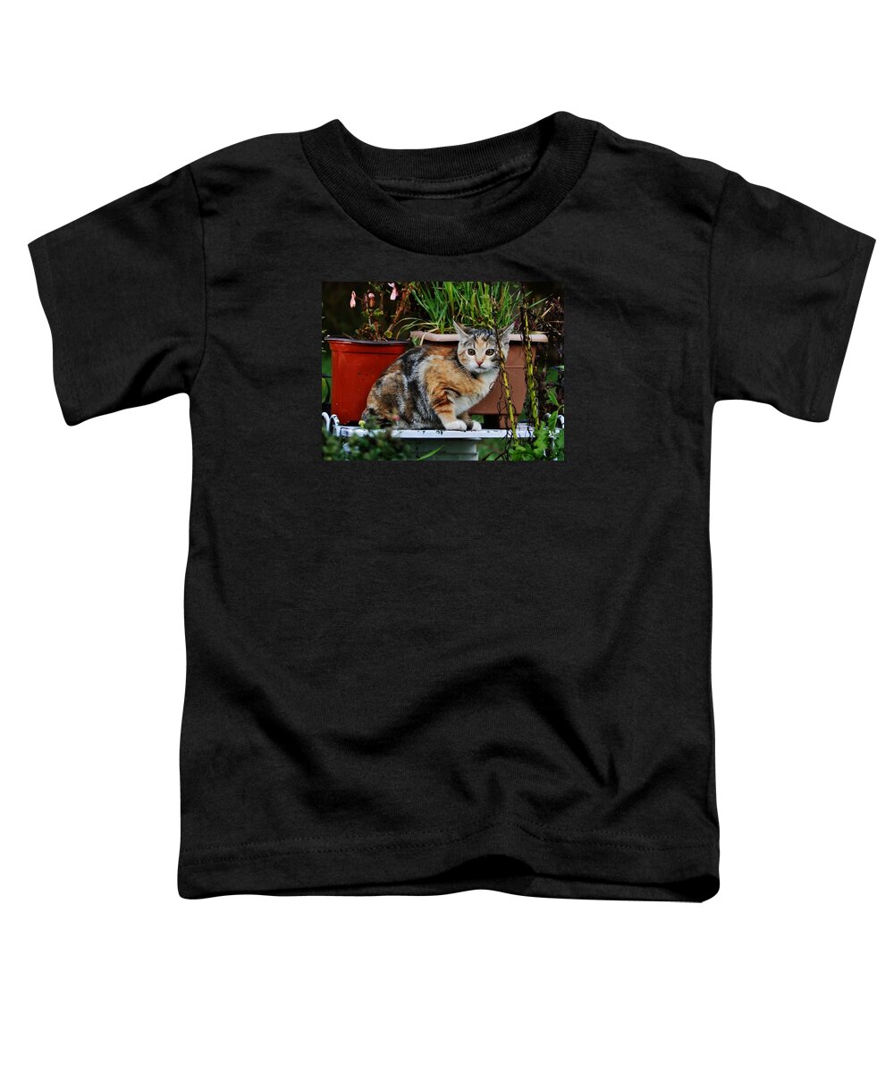 Kitten Toddler T-Shirt featuring the photograph Loud Scary Noises by VLee Watson