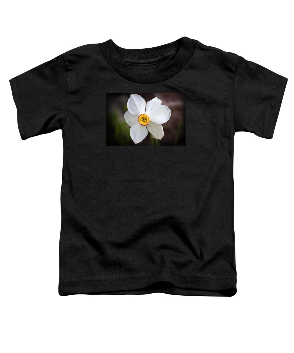 Daffodil Toddler T-Shirt featuring the photograph Love Smile and Happiness by Milena Ilieva