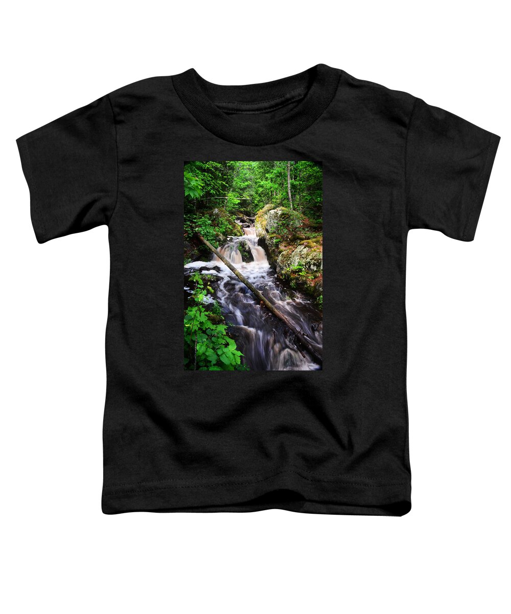 Waterfall Toddler T-Shirt featuring the photograph Lwv60008 by Lee Winter