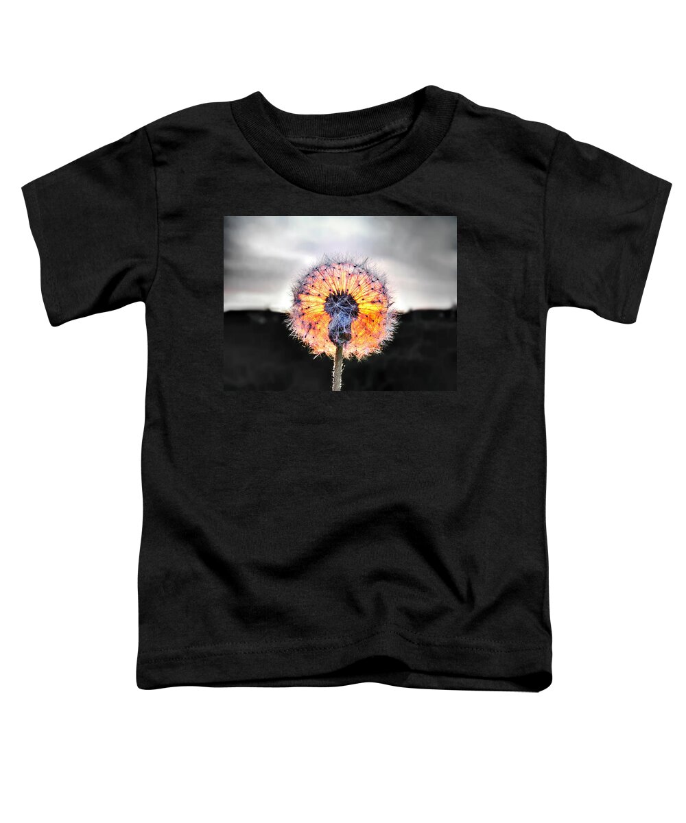 Make A Wish Toddler T-Shirt featuring the photograph Make a Wish by Marianna Mills