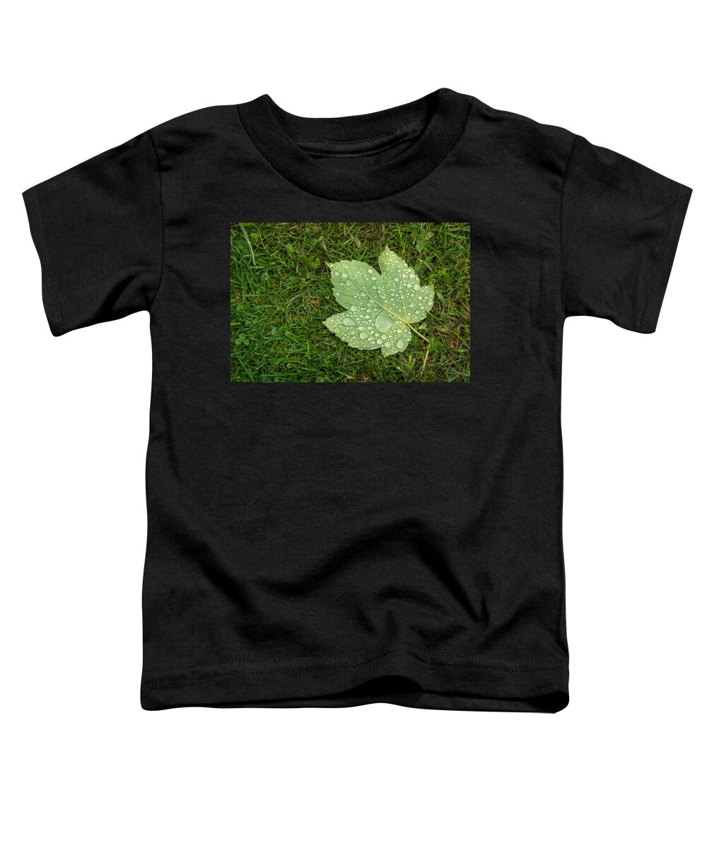 Leaf Toddler T-Shirt featuring the photograph Maple Leaf Covered With Raindrops by Andreas Berthold