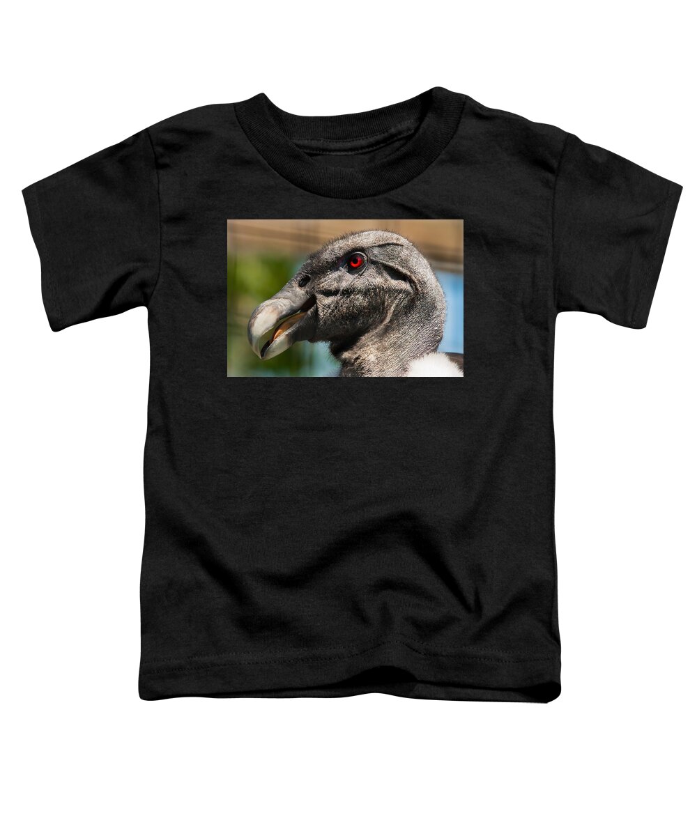 Vulture Toddler T-Shirt featuring the photograph Meet Me In My Office Please by Robert L Jackson