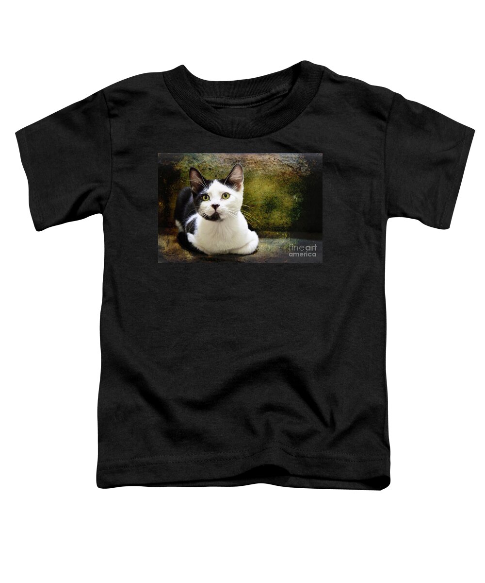 Kittens Toddler T-Shirt featuring the photograph Mika by Ellen Cotton
