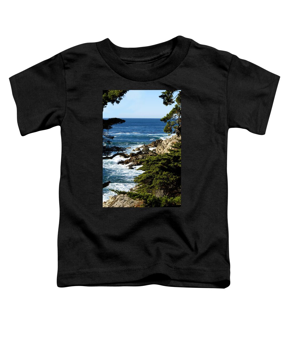 Monterey 17 Mile Drive Toddler T-Shirt featuring the photograph Monterey 17 Mile Drive by Barbara Snyder