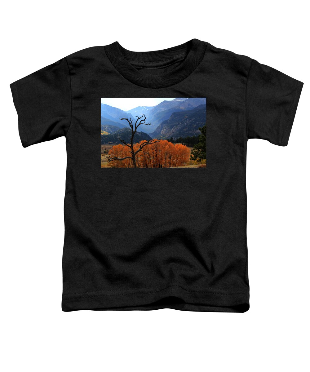 Moraine Park Toddler T-Shirt featuring the photograph Moraine Park by Shane Bechler