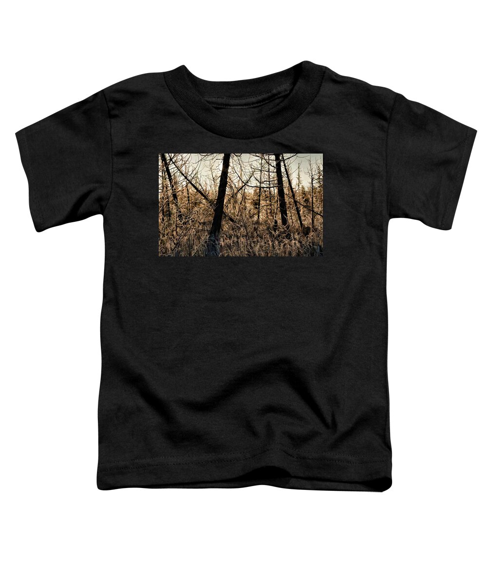 Canada Toddler T-Shirt featuring the photograph Morning forest frost by Doug Gibbons