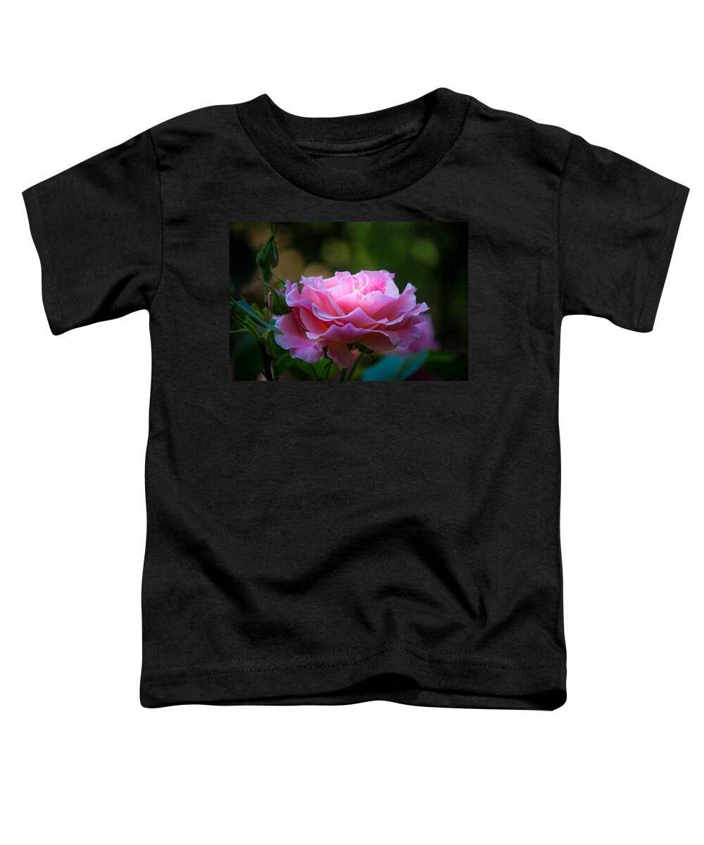 Pink Toddler T-Shirt featuring the photograph Morning Light by Patricia Babbitt