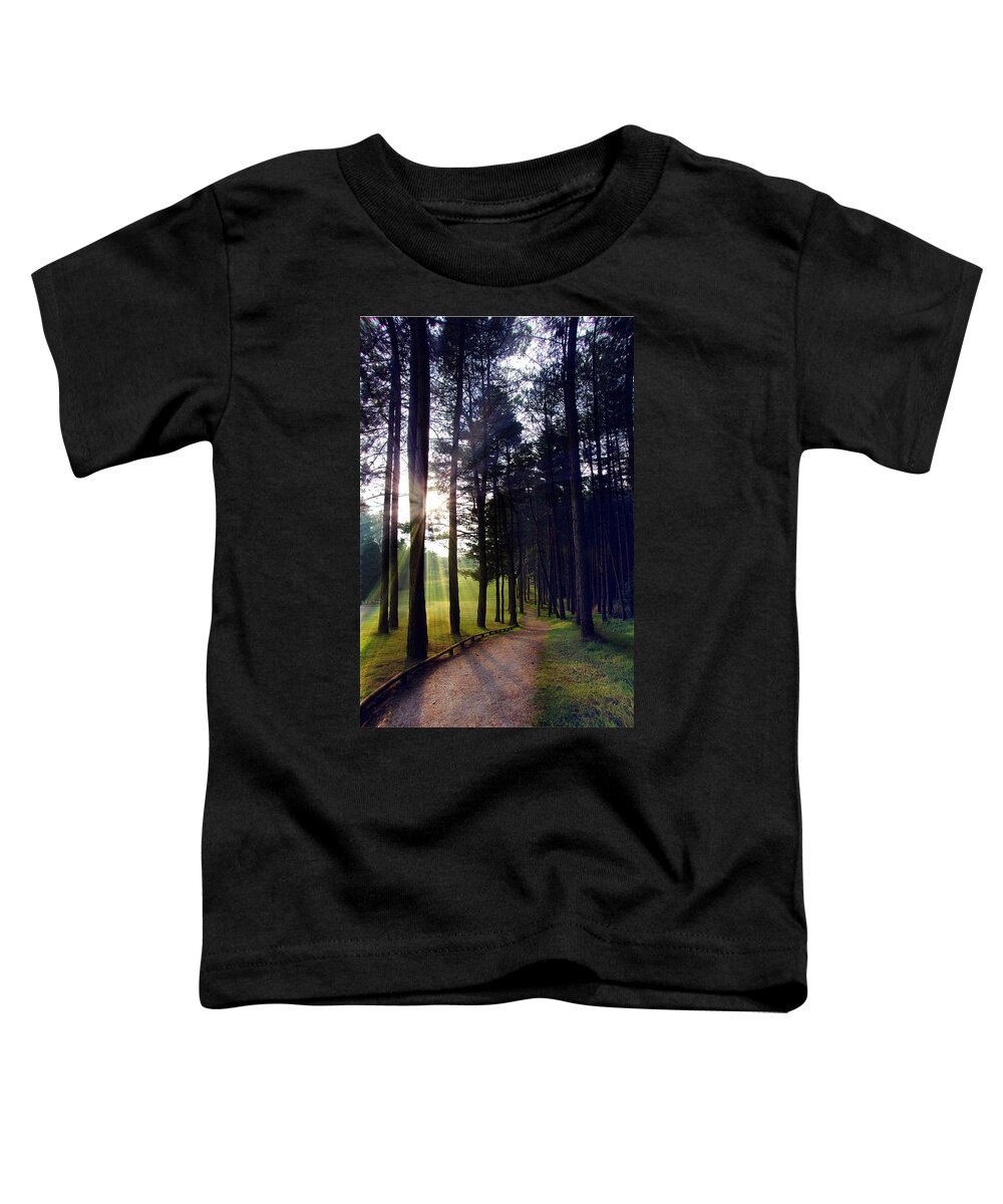 Sunrise Toddler T-Shirt featuring the photograph Morning Walk by Steve Ondrus