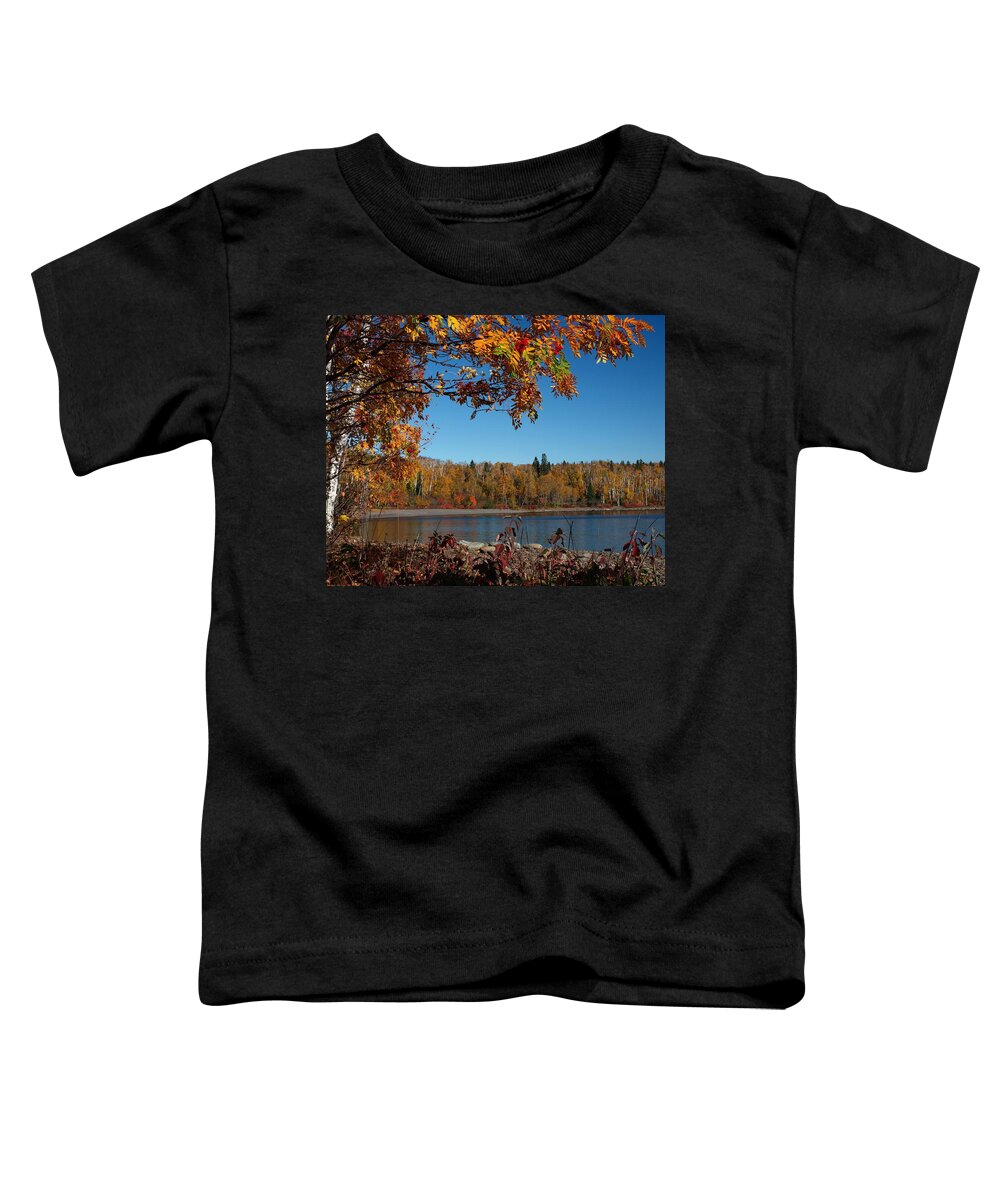Jim Toddler T-Shirt featuring the photograph Mountain Ash in Autumn by James Peterson