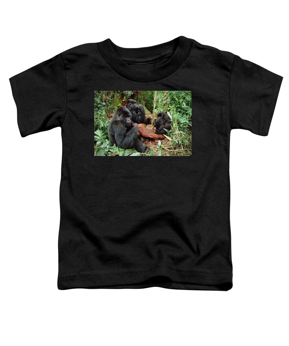 00200737 Toddler T-Shirt featuring the photograph Mountain Gorilla Group Eating by Gerry Ellis