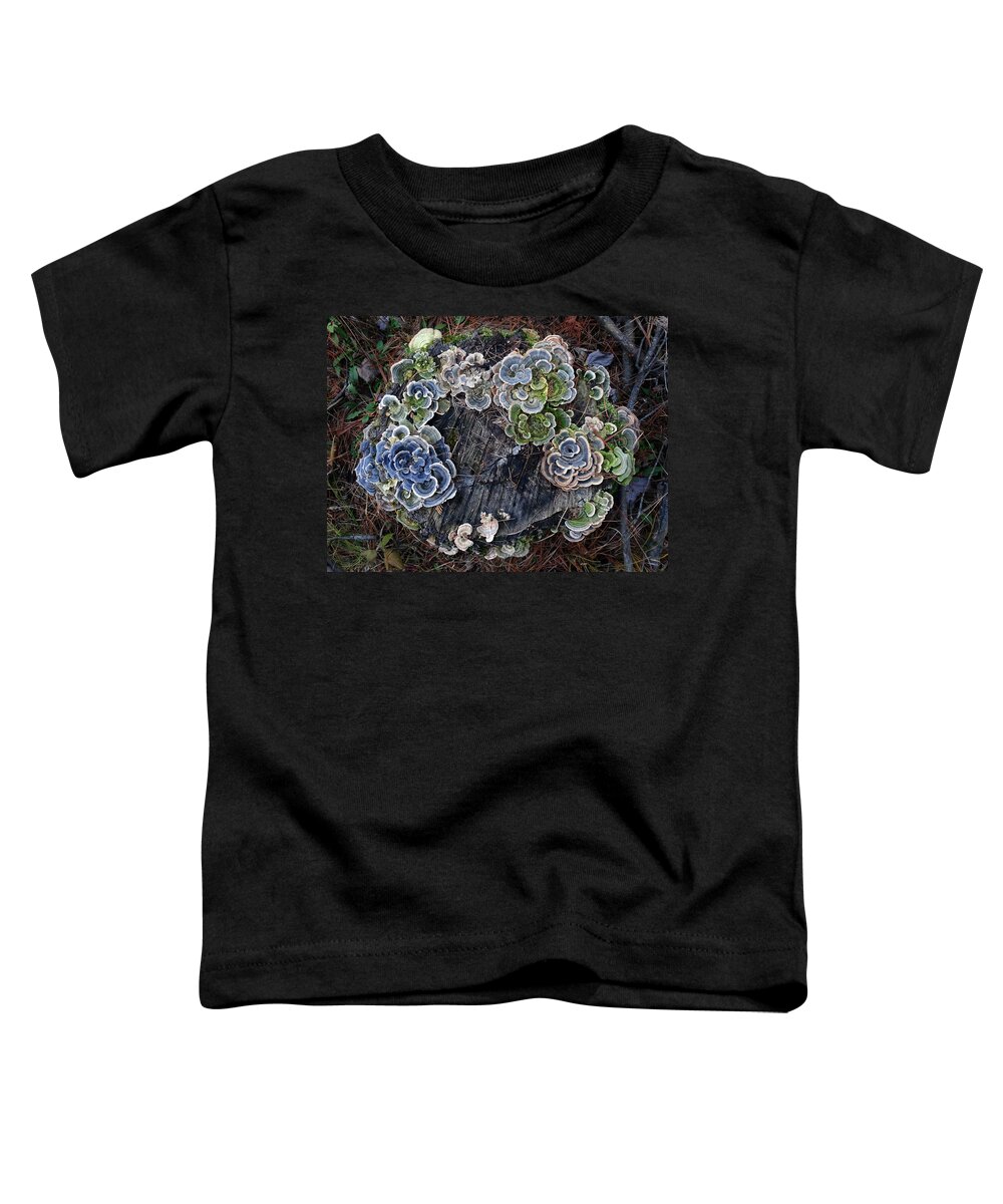 Mushrooms Toddler T-Shirt featuring the photograph Mushrooms on a Tree Stump by David T Wilkinson