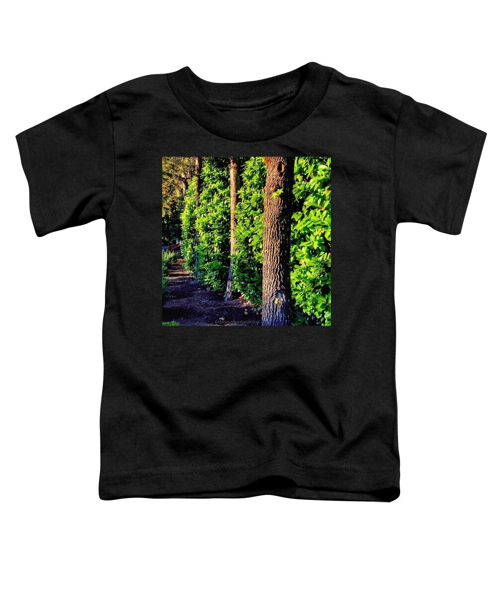 Nature Toddler T-Shirt featuring the photograph Natures Fence by Anna Porter