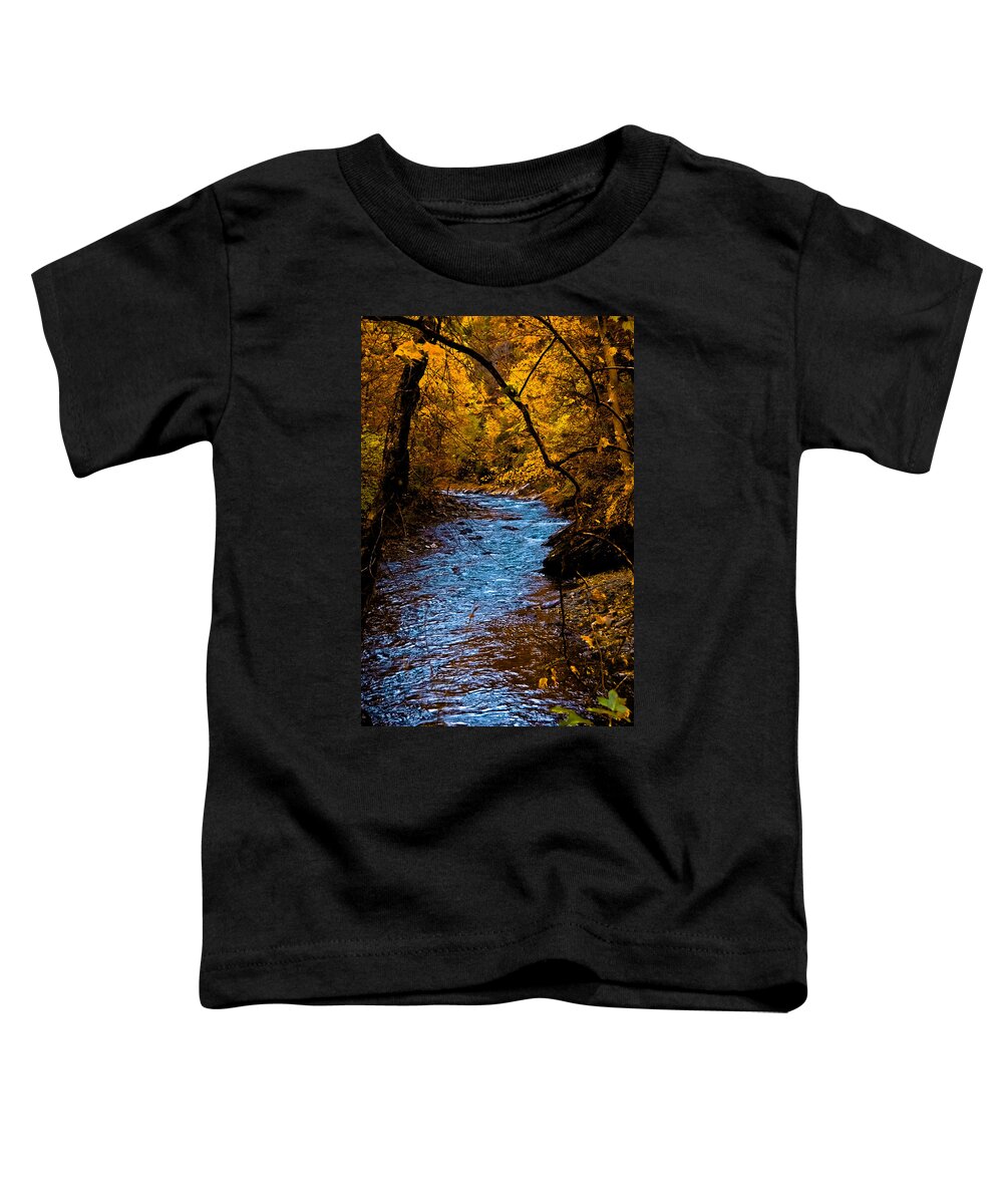 Creek Toddler T-Shirt featuring the photograph Natures Golden Secret by DigiArt Diaries by Vicky B Fuller