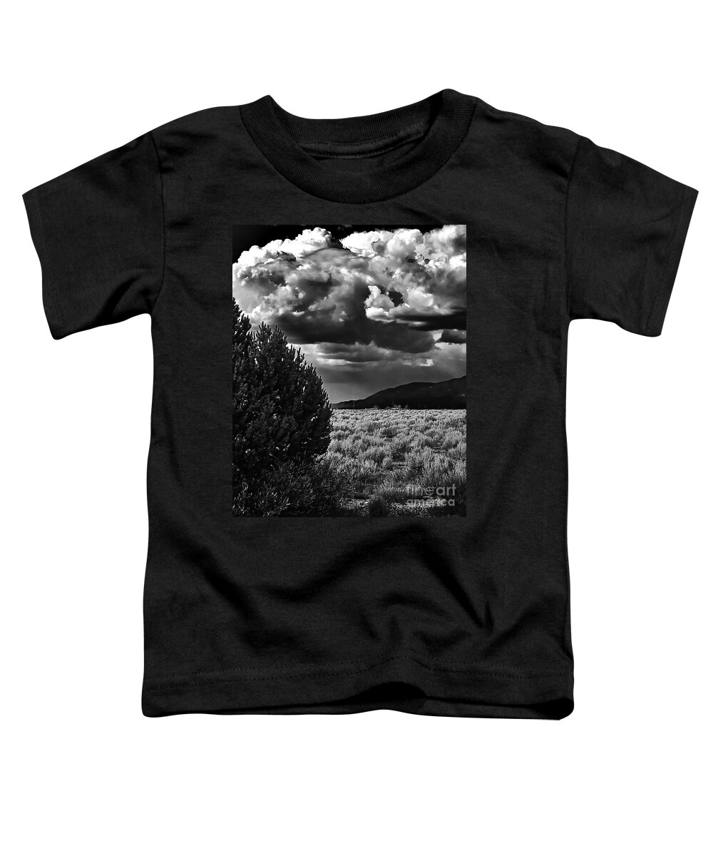 Monsoon Toddler T-Shirt featuring the photograph Needed Rain III by Charles Muhle