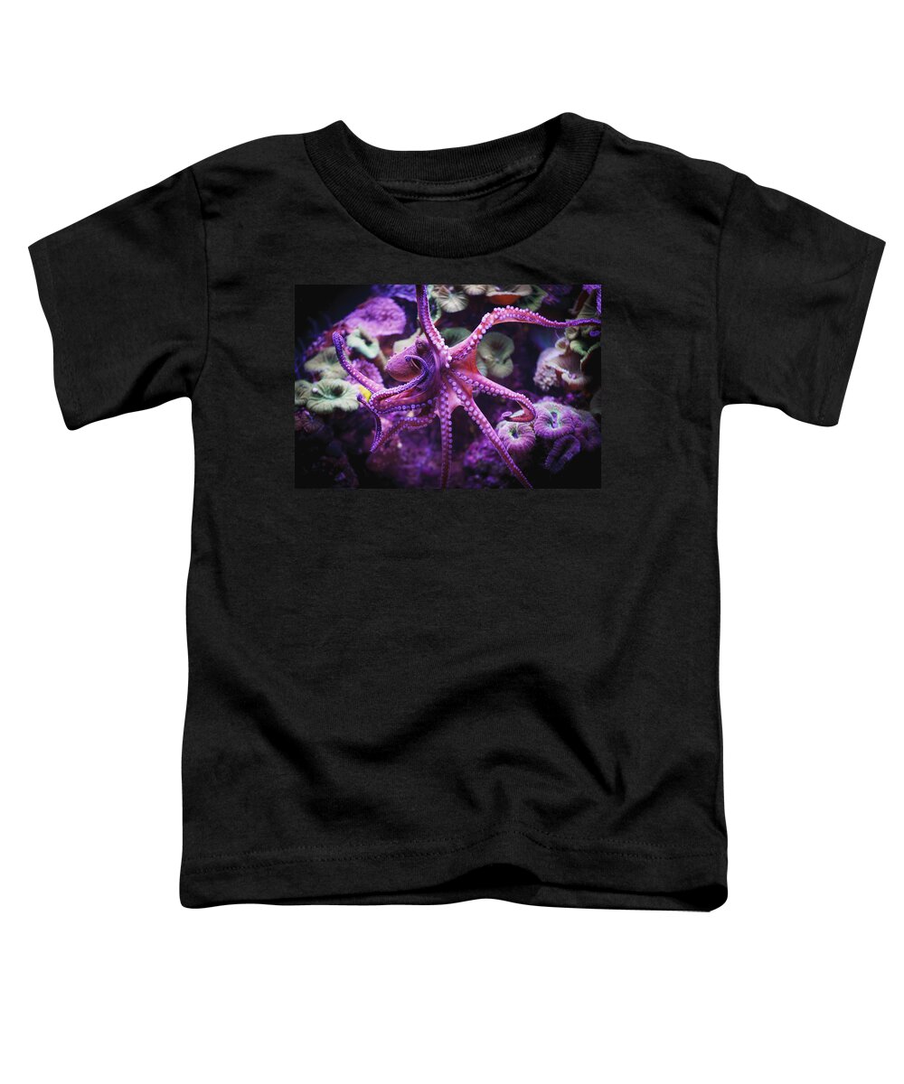 Octopus Toddler T-Shirt featuring the photograph Octopus Israel by Reynold Mainse