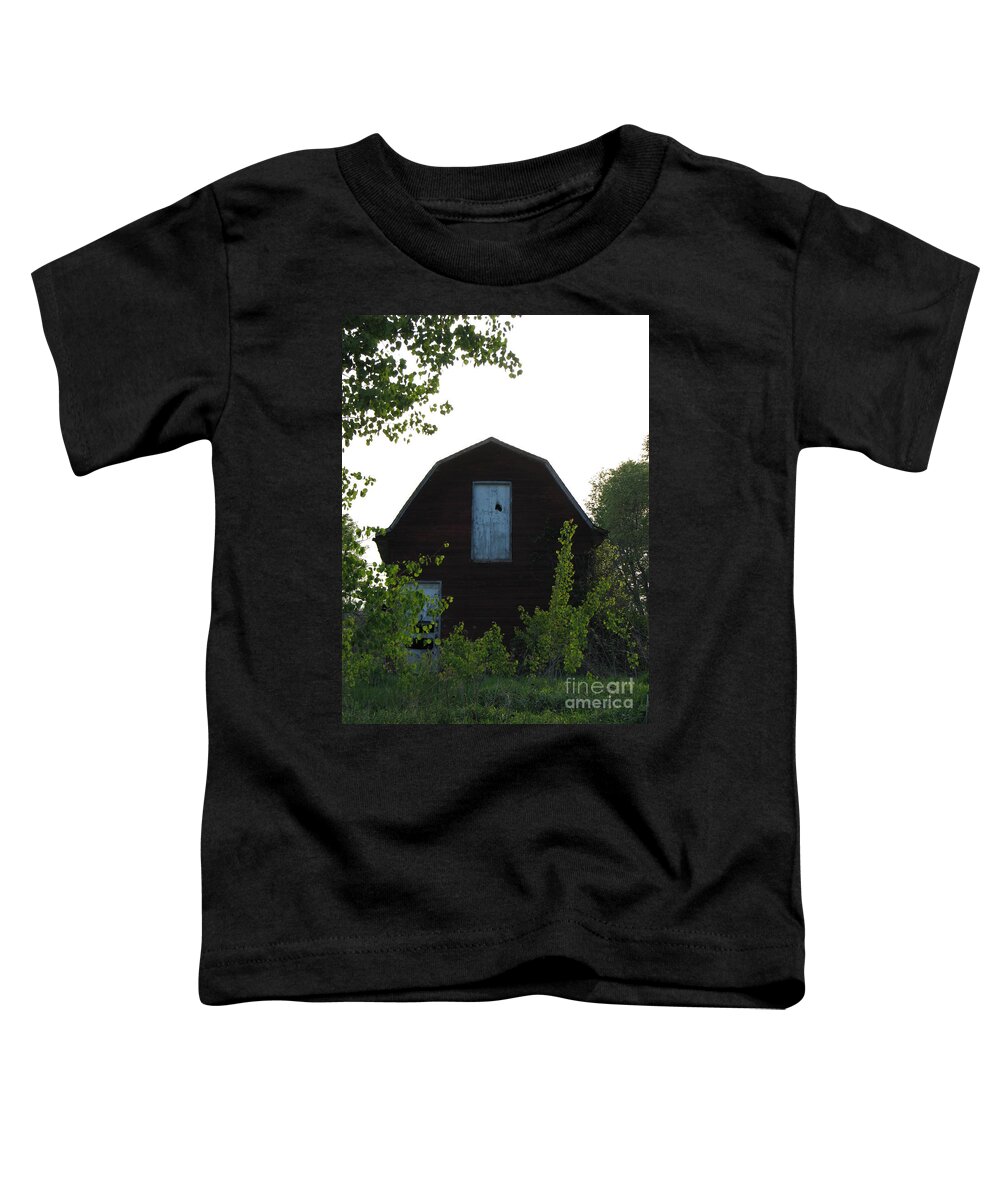 Barns Toddler T-Shirt featuring the photograph Old Red Barn 2 by Michael Krek